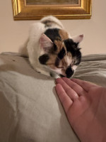 /album/265/whatsapp-image-2026-03-25-at-19-49-28-3-jpeg/